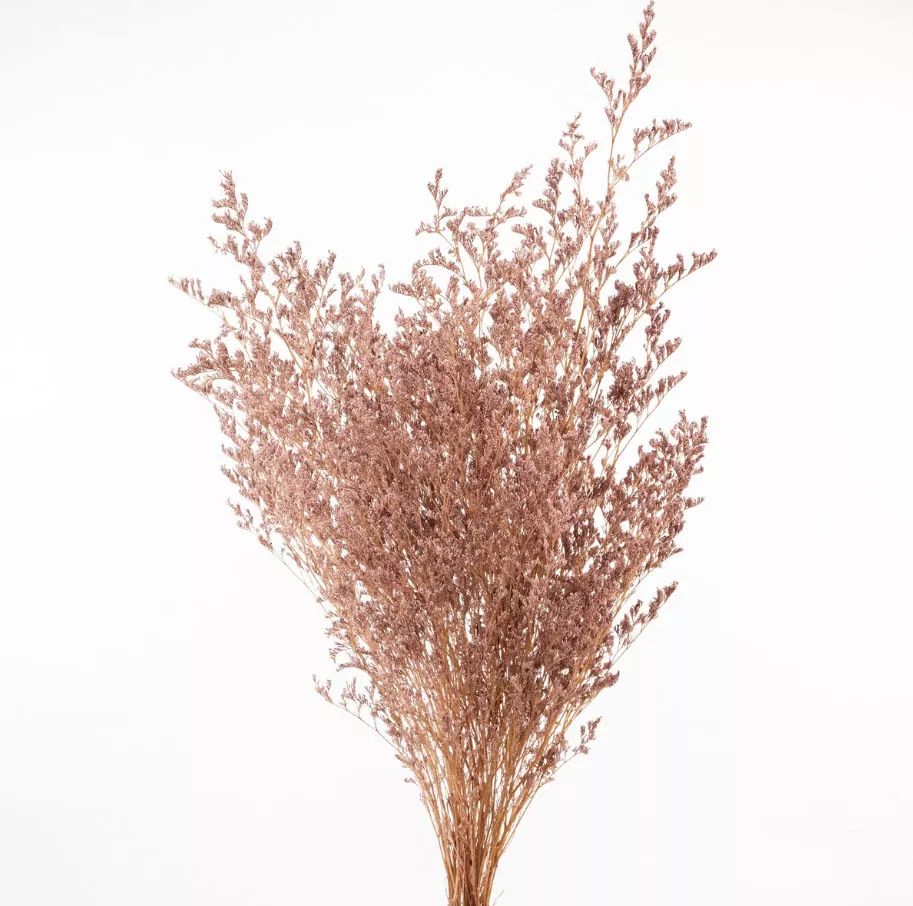 Сухоцветы Лимониум набор 100гр 70см, коричневый по цене 