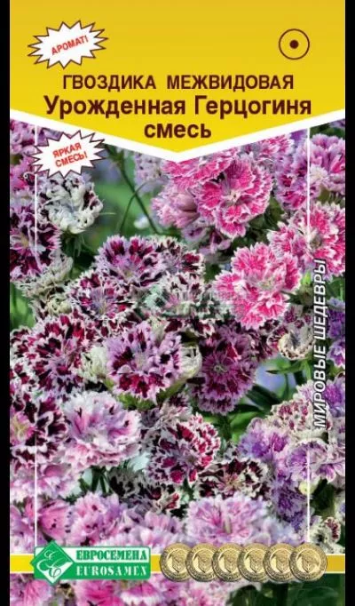 ОсновноеИзображение