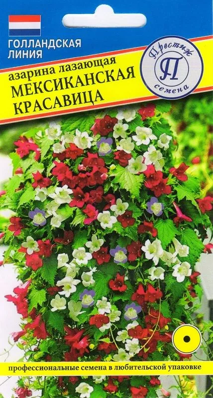 Семена Азарина лазающая Мексиканская красавица 5шт Престиж 