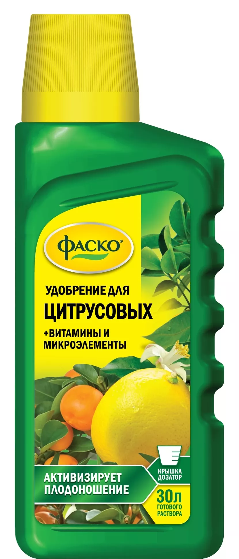 ЖКУ_ФАСКО_редизайн_2024_финал_Цитрус_мокап_3D-8