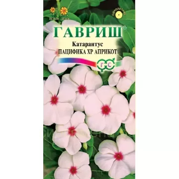 Семена Катарантус Пацифика XP Априкот, Гавриш 