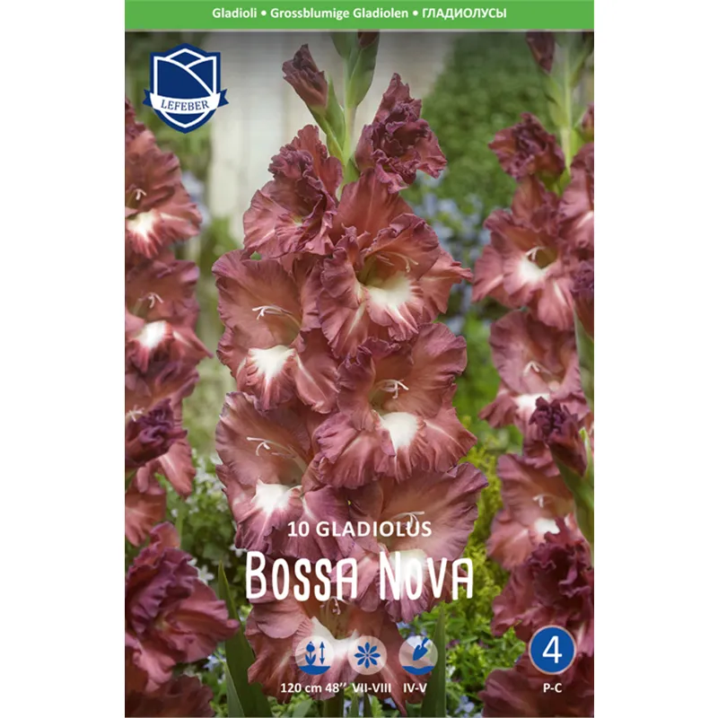 Луковица Гладиолус Босса Нова 12/14 10шт 