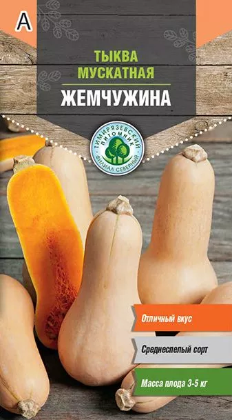 Семена тыква Жемчужина мускатная Тимпит 2г 