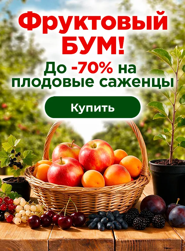 Фруктовый бум - скидки до 70%