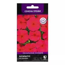 Семена Катарантус Казанова 10 шт  Поиск 