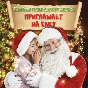 Новогодняя елка в "Дарвин"