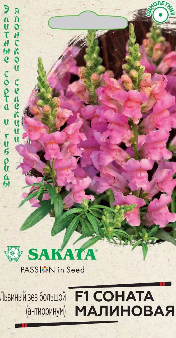 Семена Антирринум (Львиный зев) Соната малиновая F1 7шт Гавриш 