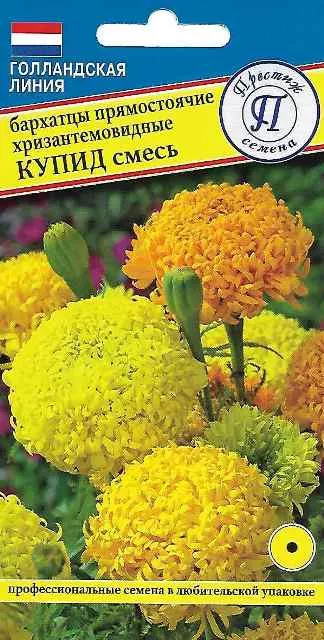 Семена Бархатцы прямостоячие хризантемовид, Купид смесь , 15 шт Престиж 