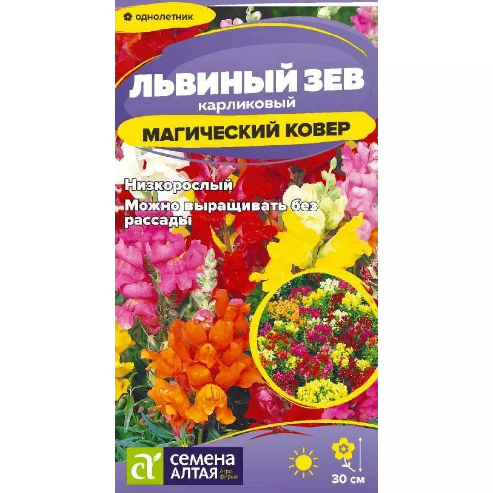 Семена  Львиный зев Магический Ковер   0,1 гр. Семена Алтая 