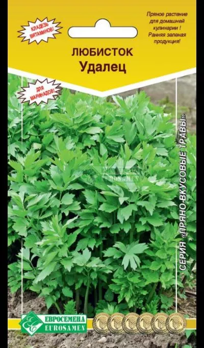 ОсновноеИзображение