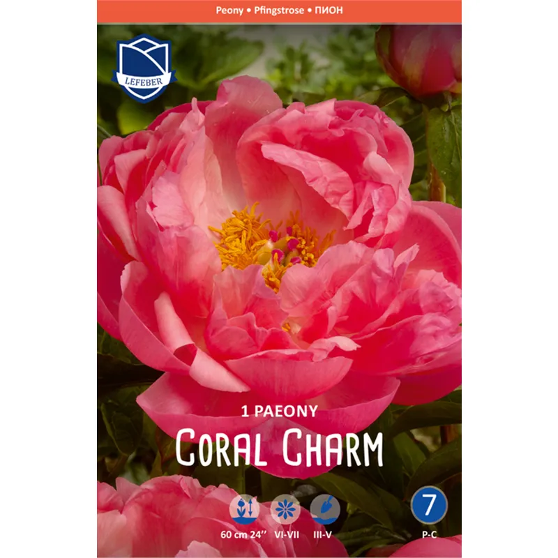 Корневище Пион травянистый Корал Шарм 2/3 1шт 