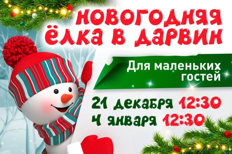 Новогоднее представление для детей