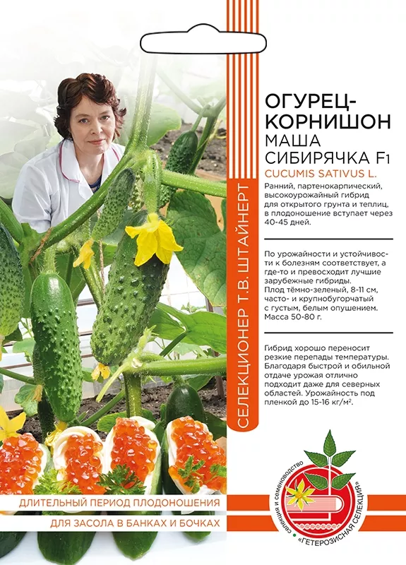 Семена огурец корнишон Маша Сибирячка F1 10шт Уральский Дачник 