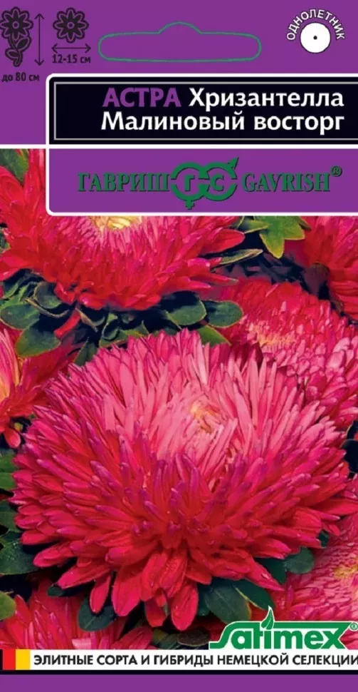 Семена Астра Хризантелла Малиновый восторг (хризантемовидная) 0,05 г   Гавриш 