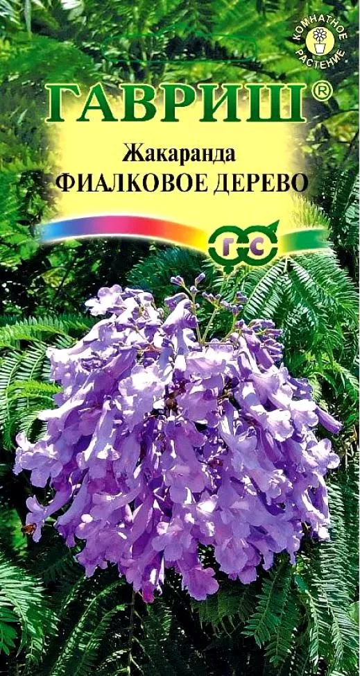 Семена Жакаранда Фиалковое дерево 3 шт. Гавриш 