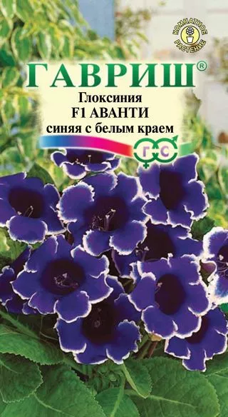 Семена глоксиния Аванти синяя с белым краем F1 гранул 5 шт пробирка Гавриш 