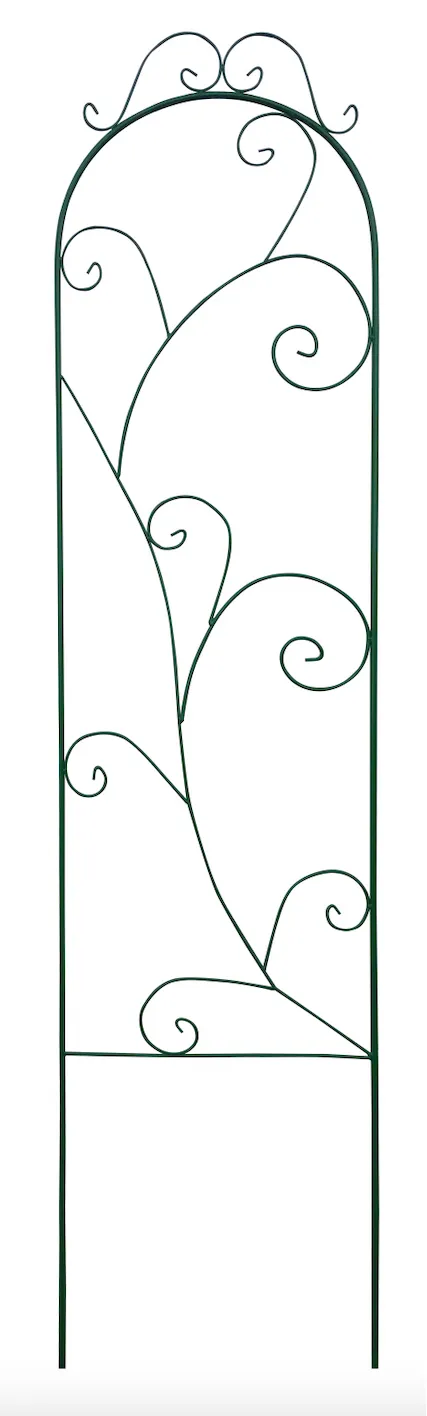 16240500
