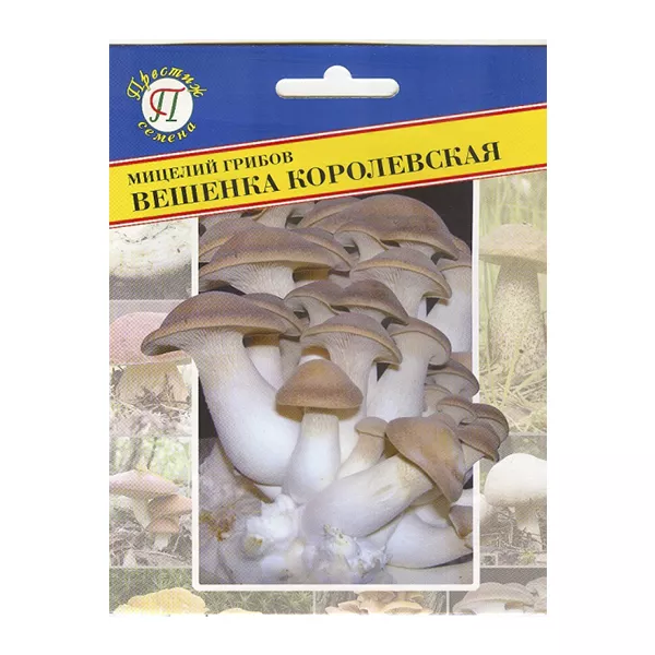 Мицелий Вешенка королевская 12палочек Престиж 