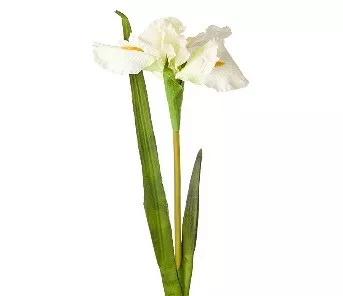 Цветок искусственный Ирис 95см, белый по цене 