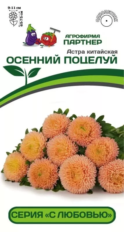 Семена Астра китайская Осенний Поцелуй 5 шт Партнер 