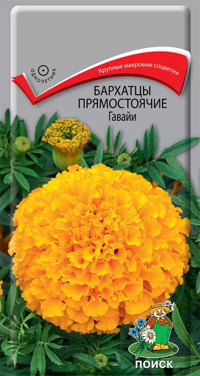 Семена Бархатцы (Тагетес) прямостоячие Гавайи,0,4г Поиск 