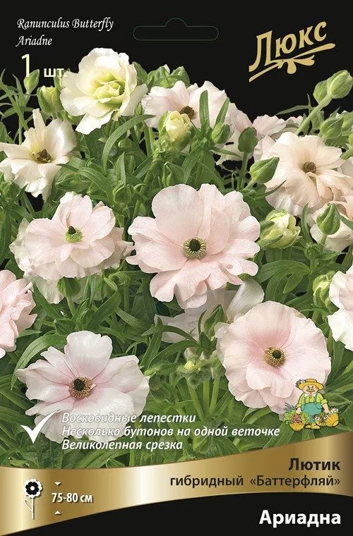 Луковица Лютик серия Баттерфляй Ариадна 1шт. Поиск 