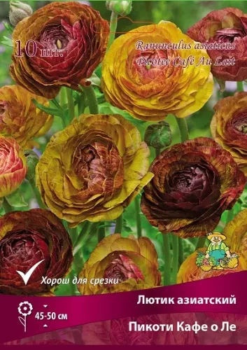 Луковица Лютик Пикоти Кафе о Ле 7/8 10 шт Поиск 