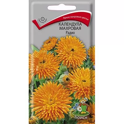 Семена Календула махровая Радио,1г Поиск 