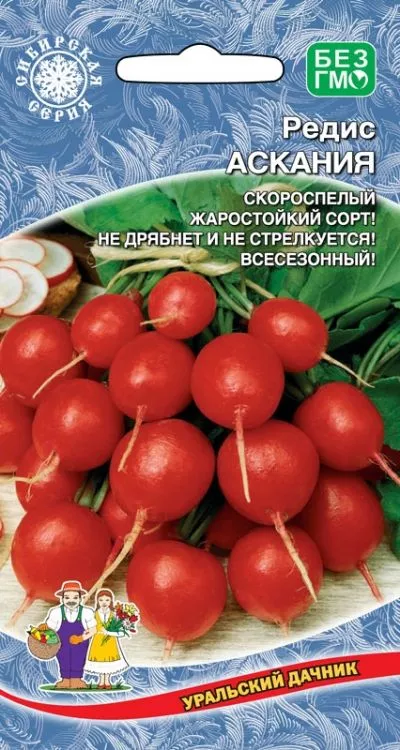Редис не стрелкуется сорта. Редис не стрелкуется сорта