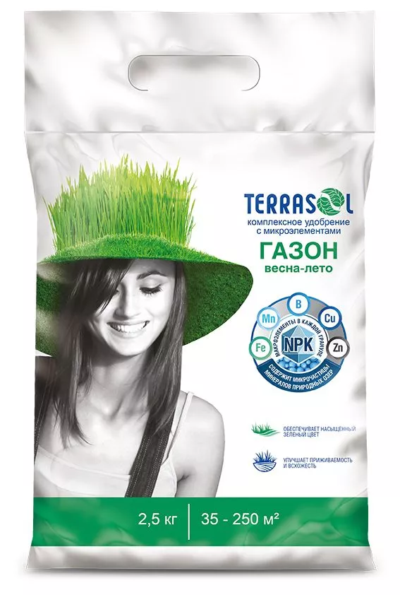 Основное изображение