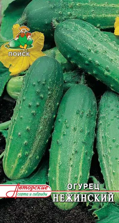 Семена Огурец пчёлоопыляемый Нежинский 15шт Поиск 