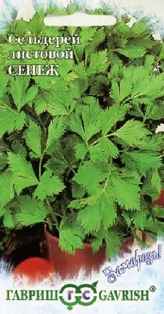 Семена сельдерей Сенеж листовой.  сер. Заморозь, Гавриш 