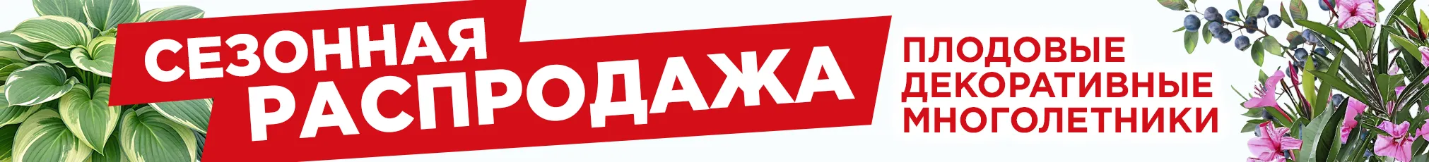 Распродажа