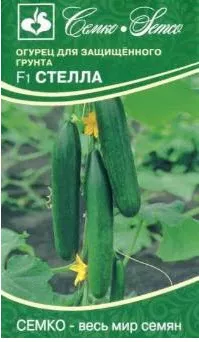 Семена Огурец партенокарпический Стелла F1 5 шт Семко 