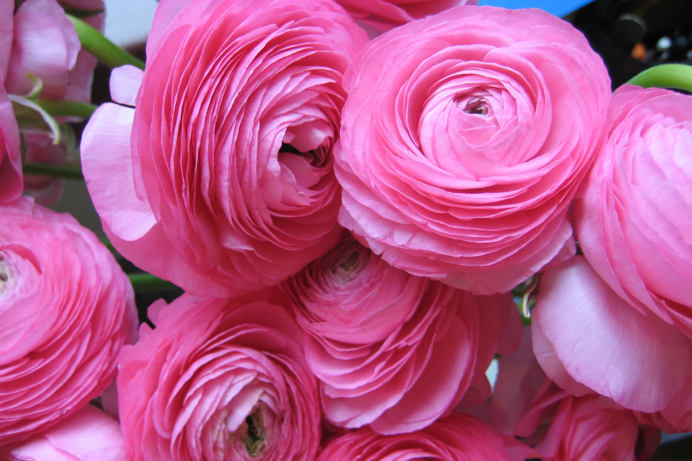 Основное изображение