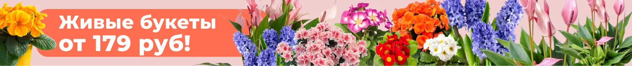 Живые букеты от 179 руб!