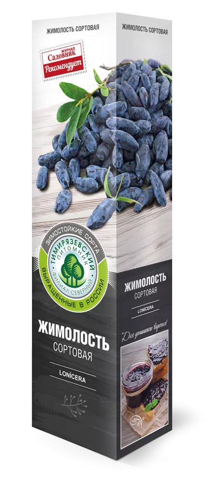 Жимолость Тундра в коробке Tim 