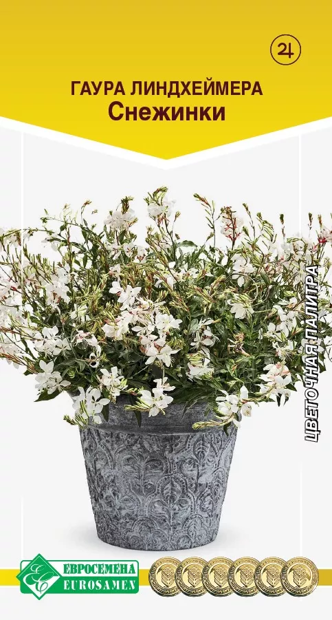 ОсновноеИзображение