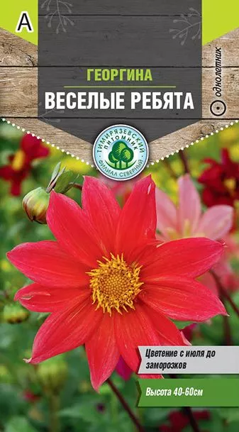 Семена Tim/цветы георгина Веселые ребята 0,2г 