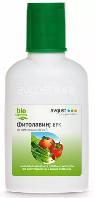 Фунгицид Август Фитолавин 50мл N50 по цене 