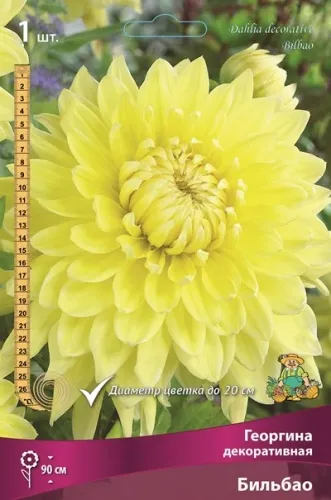 Клубень Георгина декоративная Бильбао I 1шт Поиск 