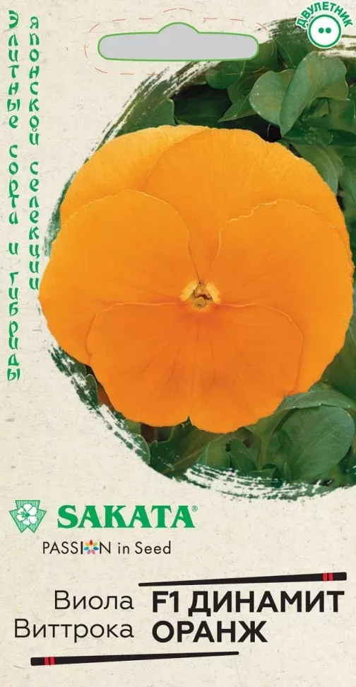 Семена Виола Динамит Оранж F1 Виттрока 5 шт.Гавриш 