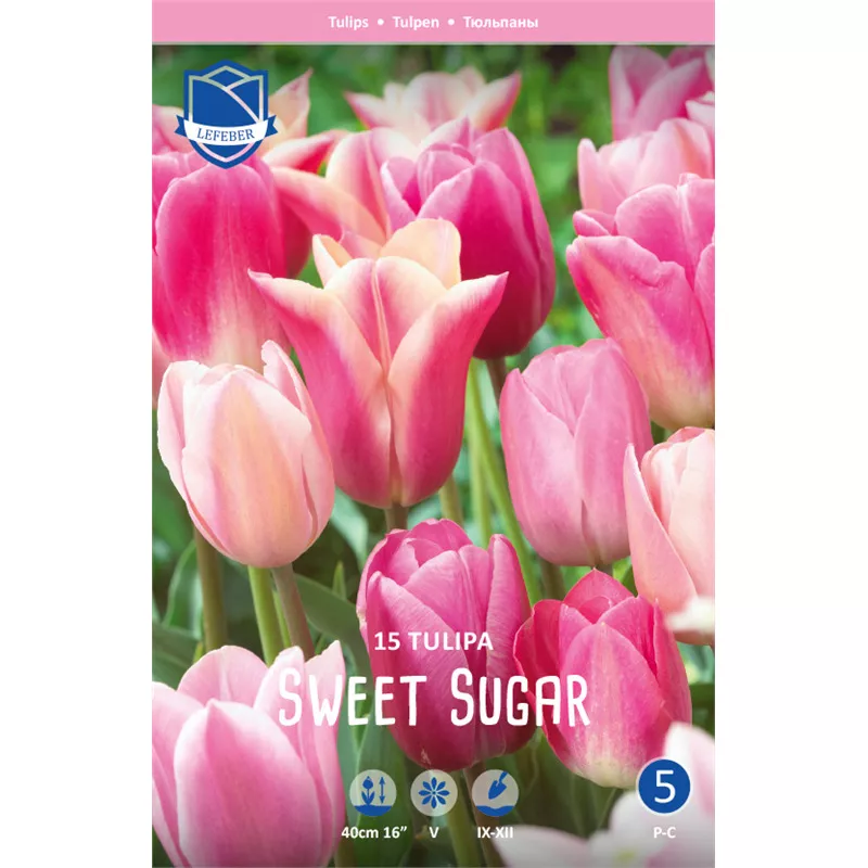 Луковица Тюльпан Свит Шуга смесь 11/12, 15 шт/уп 