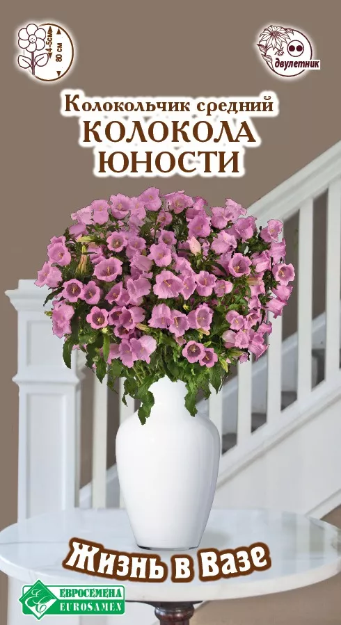 ОсновноеИзображение