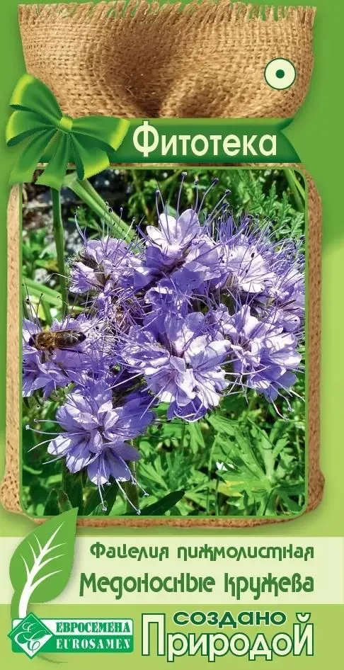 ОсновноеИзображение