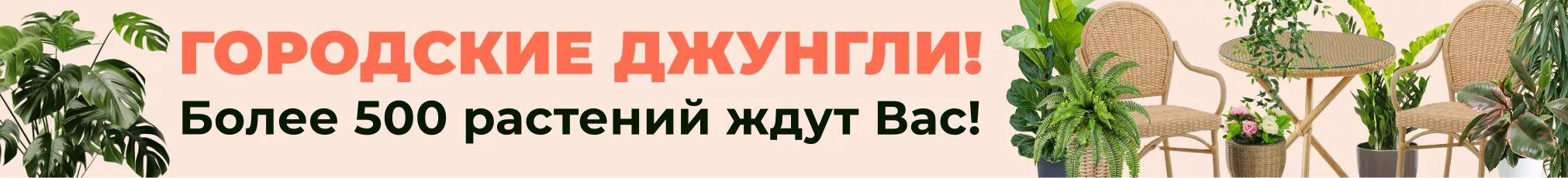 Комнатные цветы - создайте городские джунгли!