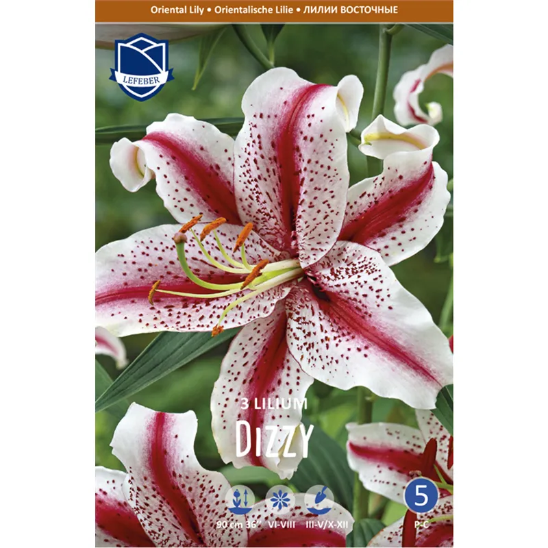 Луковица Лилия восточная Диззи 16/18 3шт 