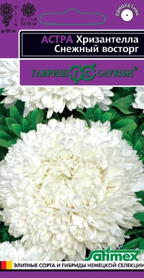 Семена Астра Хризантелла Снежный восторг (хризантемовидная) 0,05 г   Гавриш 