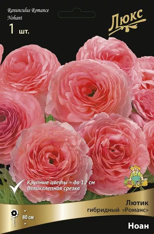 Луковица Лютик серия Романс Ноан 1шт. Поиск 
