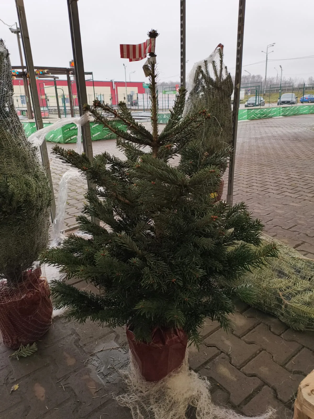 4cb5a0ae-7258-4bdd-9eab-fff4e1475981 (1)